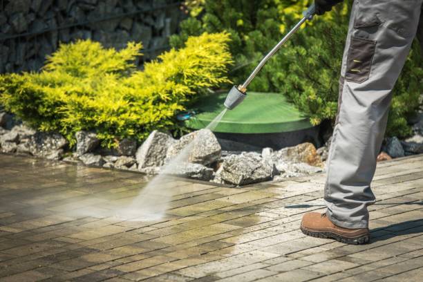 Best Pool Deck Cleaning  in Carrollton, KY