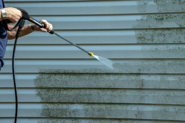 Best Solar Panel Cleaning  in Carrollton, KY